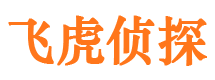 龙沙捉小三公司